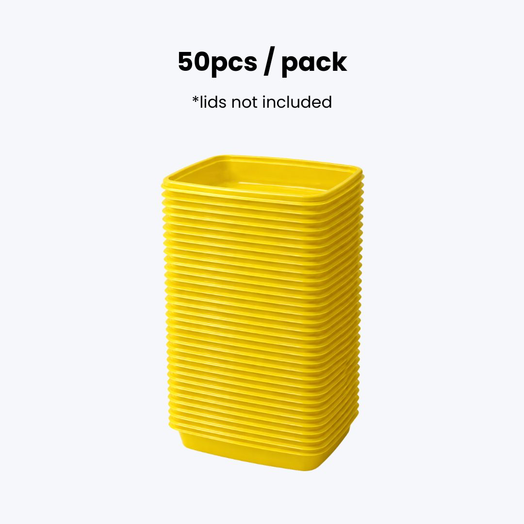 Disposable Food Container