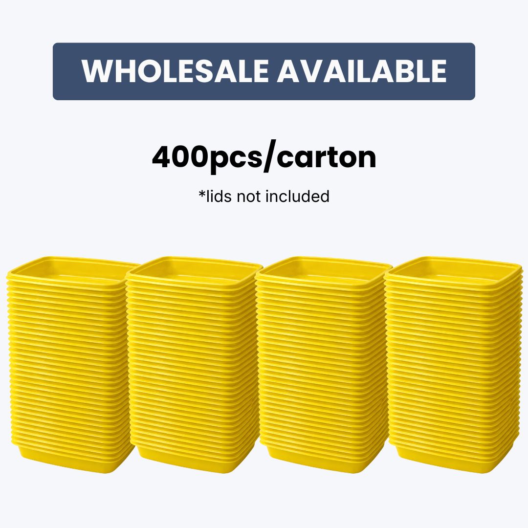 Disposable Food Container