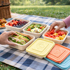 Corn Starch Disposable Food Container | Rainbow Lids | Set of 10pcs