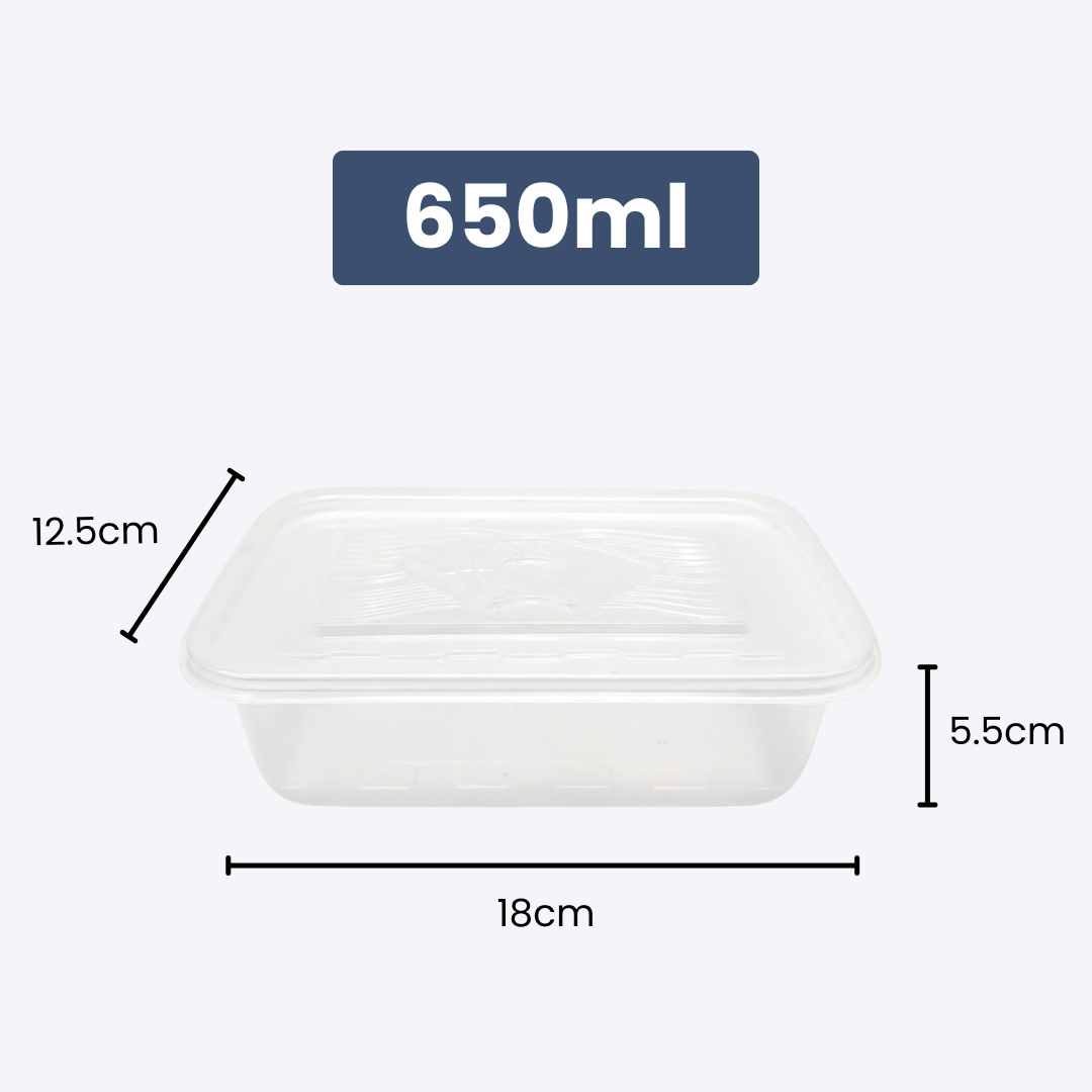Disposable Rectangle Food Container | Set of 10pcs