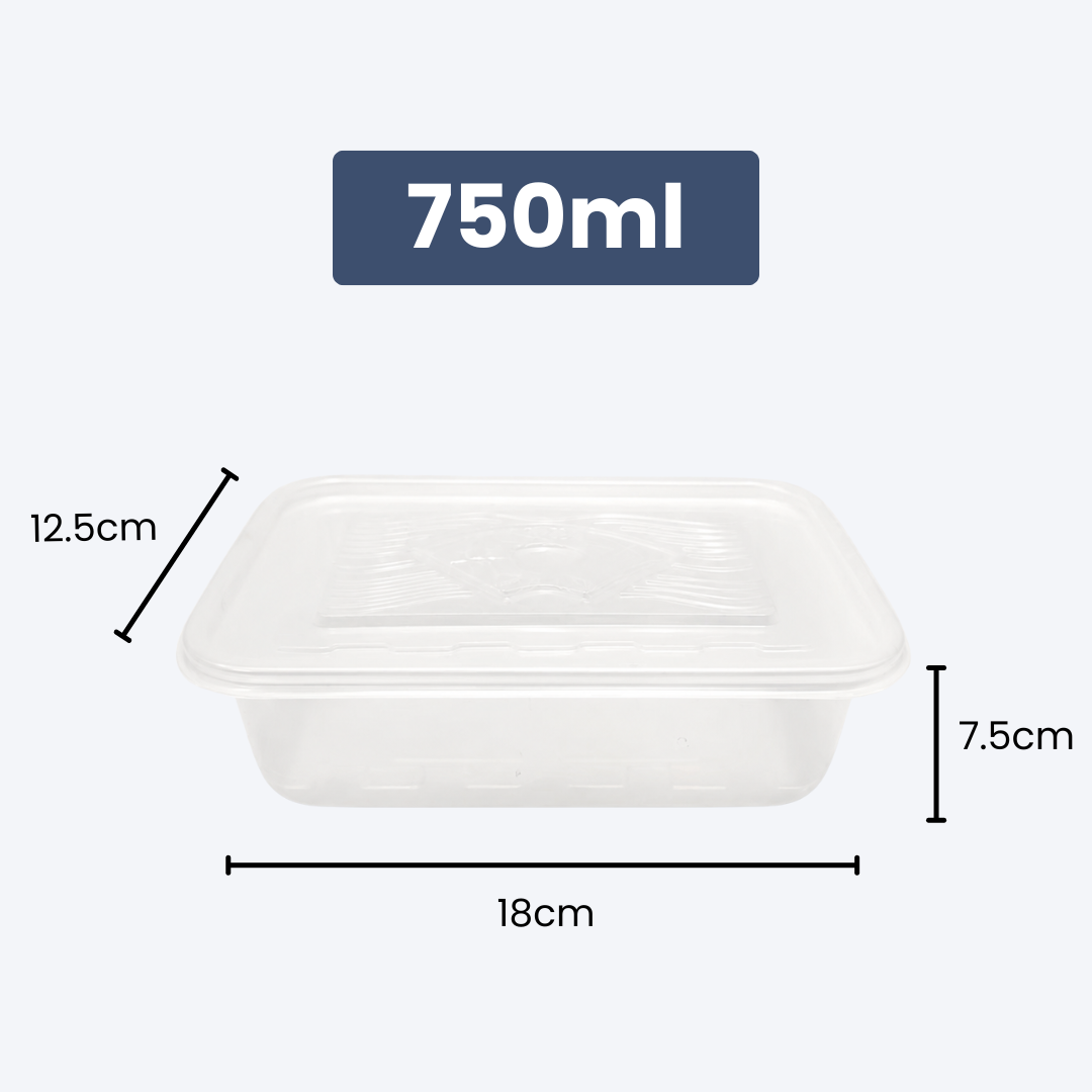 Disposable Rectangle Food Container | Set of 10pcs
